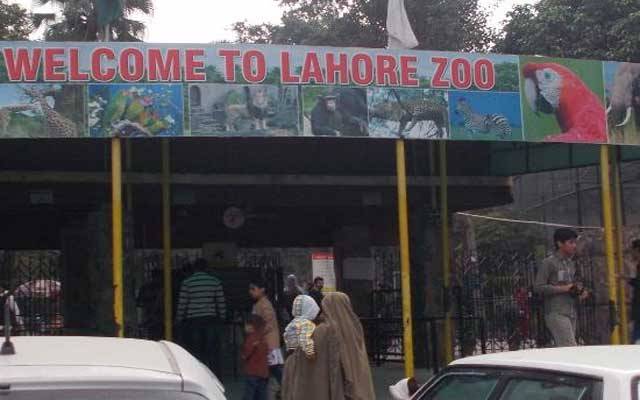کورونا کے باوجود چڑیا گھر میں سیاحوں کا ریکارڈ رش