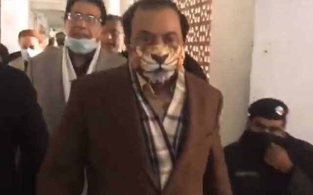 رانا ثنااللہ نے شیر والا ماسک پہننے کی وجہ بتادی