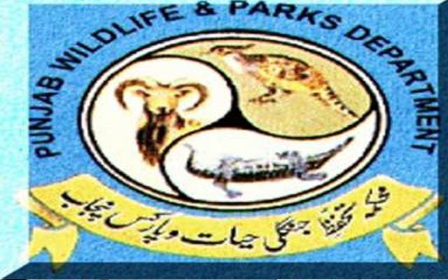 پنجاب وائلڈلائف نے پنجاب اڑیال کی ٹرافی ہنٹنگ کے شیڈول کا اعلان کردیا