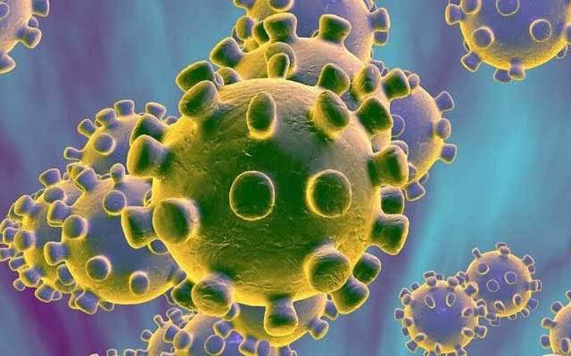 مہلک وائرس مزید 3 قیمتی زندگیاں نگل گیا