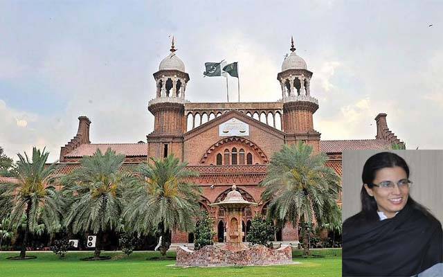  آوارہ کتوں کو تلف کرنے کی پالیسی پر عملدرآمد کیلئے درخواست پر سماعت 