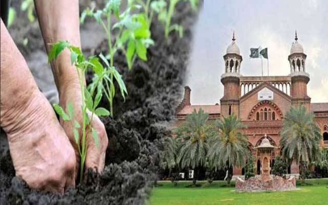 لاہور ہائیکورٹ کا ملتان موٹروے اور شہر میں شجرکاری کا حکم