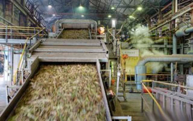 Sugar Mills