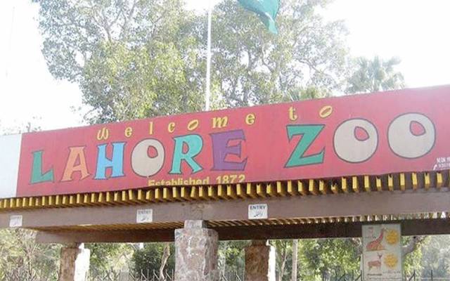 lahore zoo corona