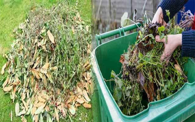 Green Waste