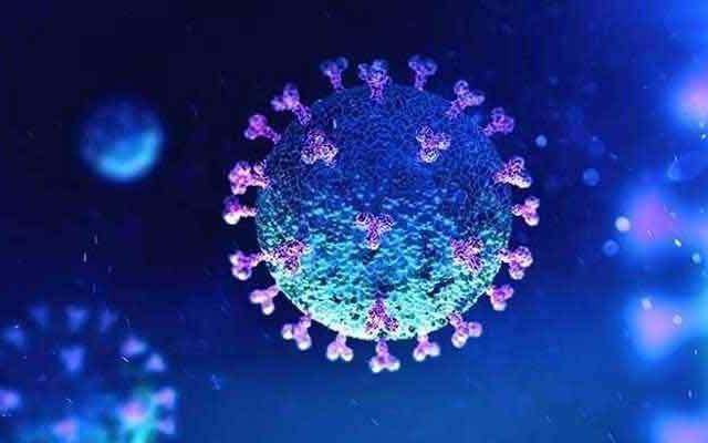 corona virus