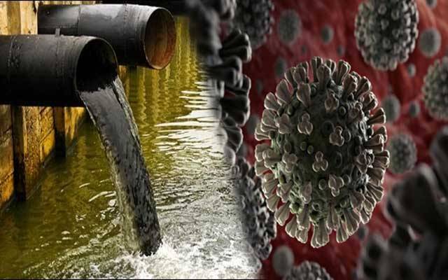 Sewage water coronavirus