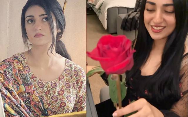 سارہ خان امید سے ہیں،شوہر نے خاکہ شیئر کردیا
