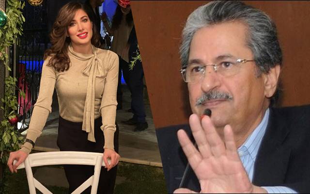 مہوش حیات نےشفقت محمود سے کیااپیل کی؟ تفصیلات سامنے آگئیں