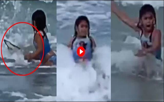 ساحل سمندر پر نہانے والی بچی پر شارک کا حملہ، ویڈیو وائرل