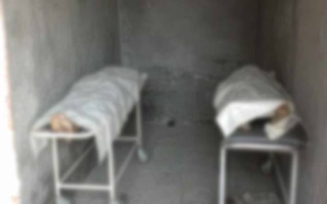 dead bodies