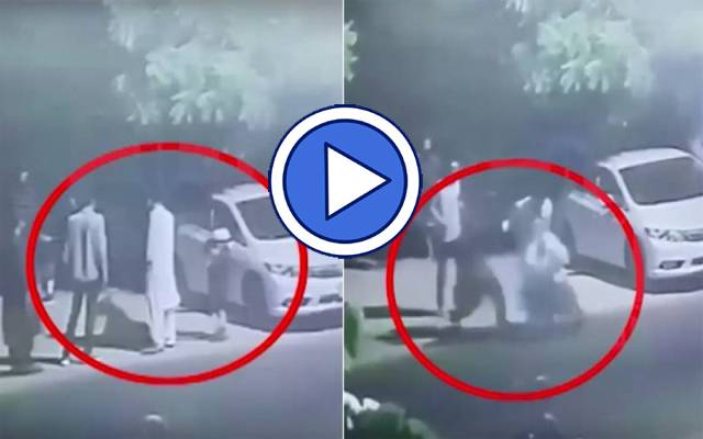 Lion attack on Child