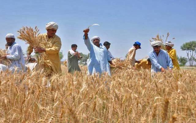 Farmers
