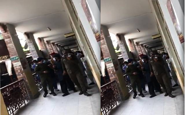 tiktoker arrested