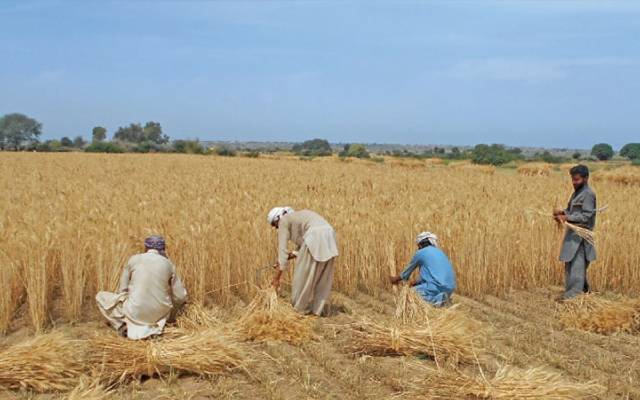   کسان حکومتی پالیسیوں پر رو پڑے، ہاتھ جوڑ کر اپیل کردی