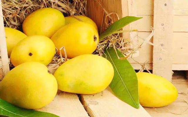 Mango