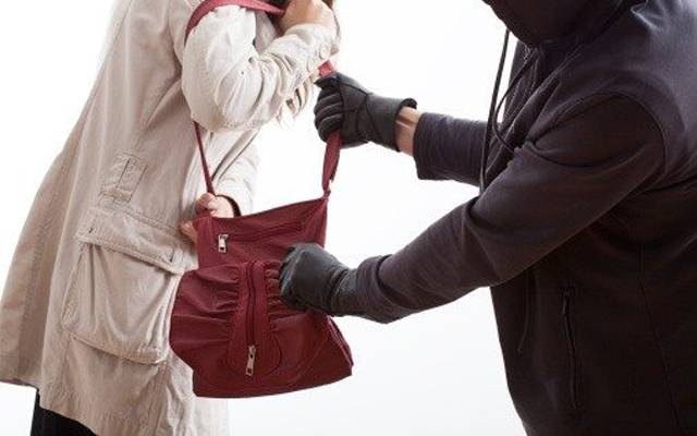 خاتون سے پرس چھیننا ڈاکوؤں کو مہنگا پڑگیا