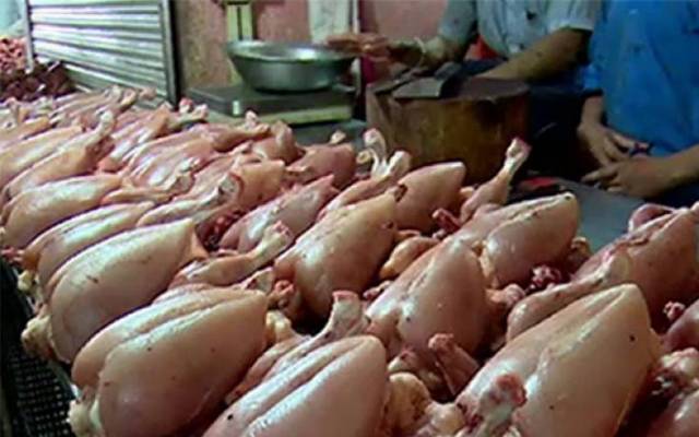 broiler meat