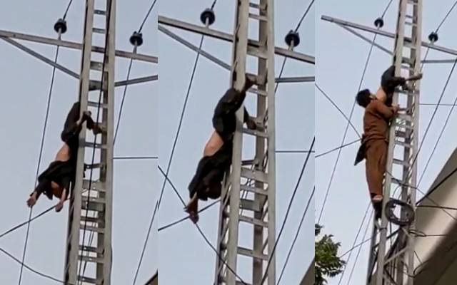 کبوتر پکڑنے کا شوق بچے کو مہنگا پڑگیا, دیکھنے والے خوف زدہ ہوگئے