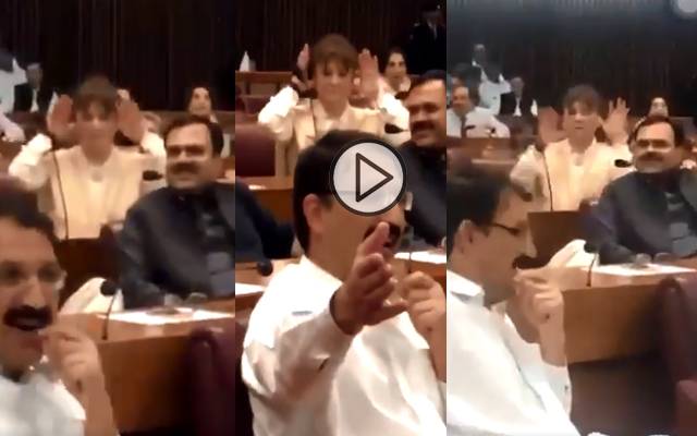 پی ٹی آئی رہنما کی مریم اورنگزیب کو منہ چڑانے کی ویڈیو وائرل