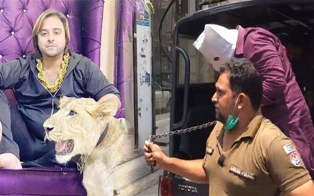 گرفتار ہونے کے بعد ٹک ٹاکر کاشف ضمیر کا پہلا بیان سامنے آگیا