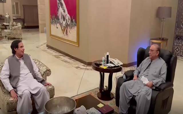 pervaiz elahi and zardari meeting 
