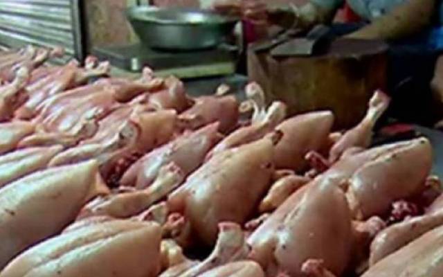 broiler meat