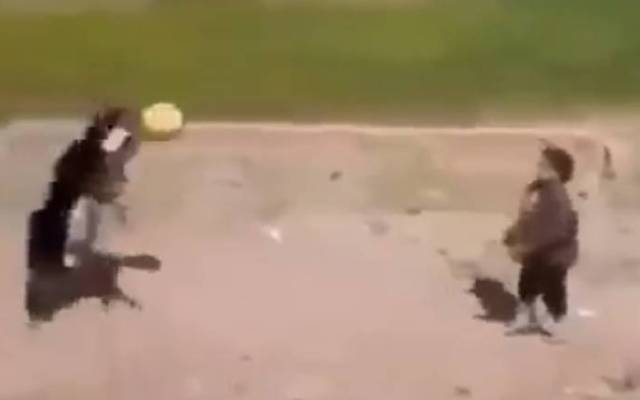 boy playing with Goat