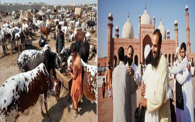 عید الاضحیٰ  کی آمد آمد۔۔بغیر کورونا ویکسین مویشی منڈی میں جانے کی اجازت نہیں ہوگی