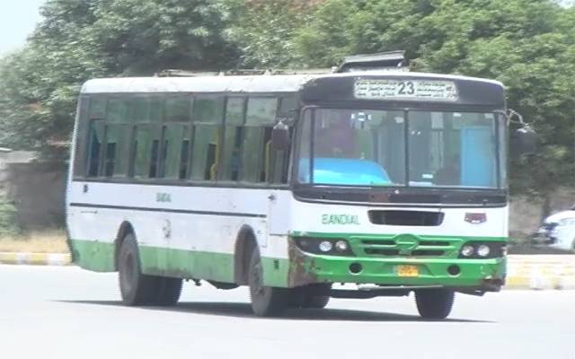 Bus