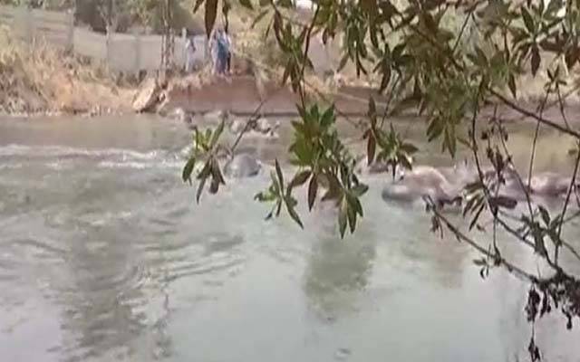  کرنٹ لگنے سے لاکھوں روپے مالیت کی 9 بھینسیں ہلاک۔۔۔