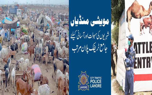 شہر کی 12 مویشی منڈیوں کیلئے ٹریفک پلان جاری۔۔