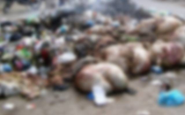 آلائشوں کو ٹھکانے لگانے