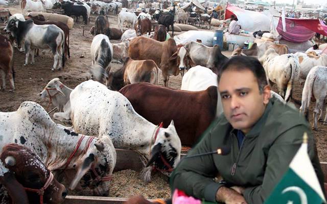 مویشی منڈیاں لاہور