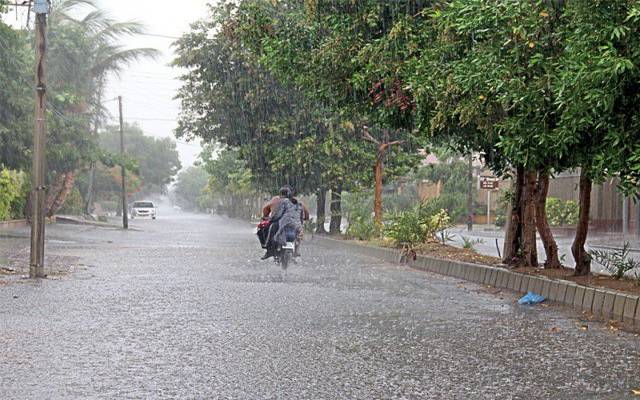 Rain
