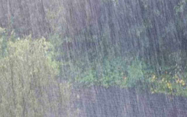 rain