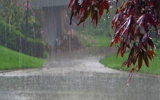 weather