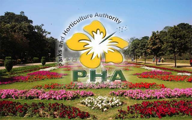 PHA