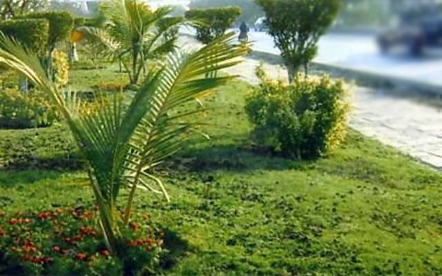  جشن آزادی کلین اینڈ گرین شجرکاری مہم کا آغاز 