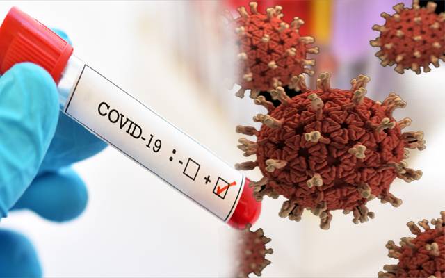 Corona virus