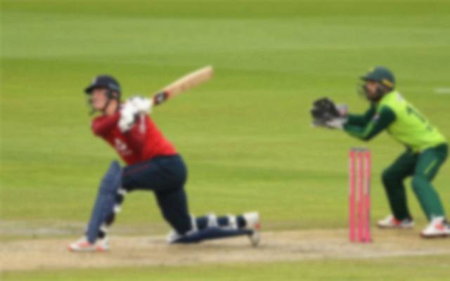 cricket 