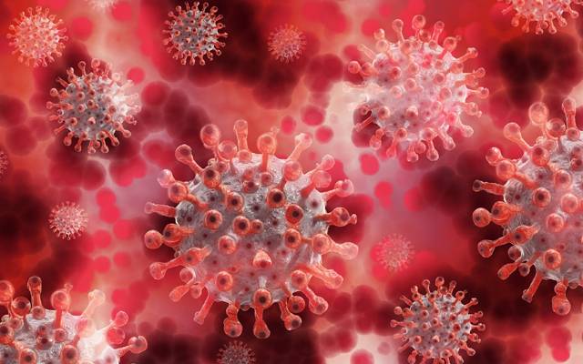 corona virus