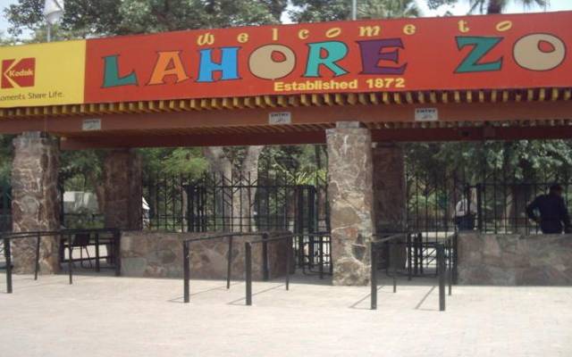 تبدیلی سرکار نےبچوں کی خوشیاں چھین لیں