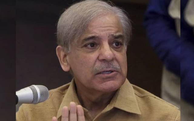 PMLN