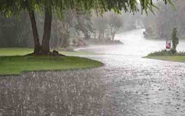 Rain