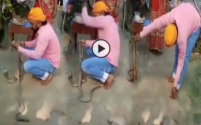 سانپ کو راکھی باندھنے والا نوجوان زندگی سے ہاتھ دھو بیٹھا، خوفناک ویڈیو وائرل