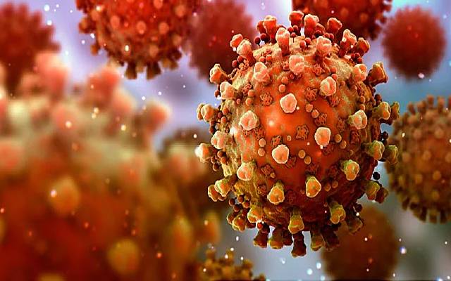 corona virus
