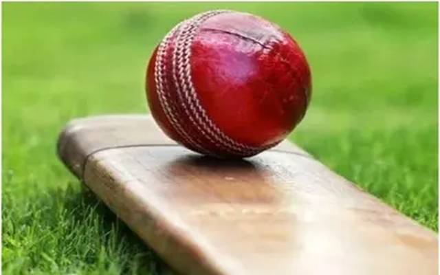 Cricket
