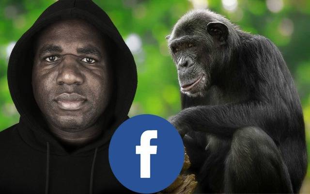 فیس بک نے سیاہ فام افراد کو بندروں سے ملانے پر معافی مانگ لی