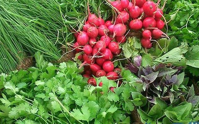 آلو, پیاز،بینگن اورسبز مرچ کی قیمت کو آگ لگ گئی